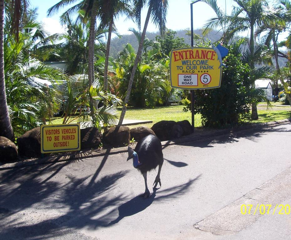 Flying Fish Point Tourist Park Hotel Innisfail Bagian luar foto