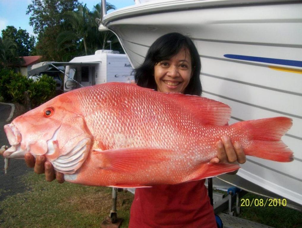 Flying Fish Point Tourist Park Hotel Innisfail Bagian luar foto