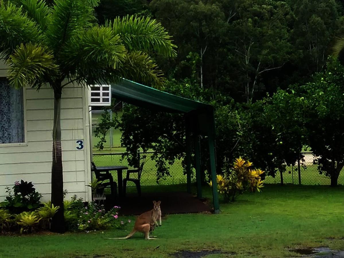 Flying Fish Point Tourist Park Hotel Innisfail Bagian luar foto